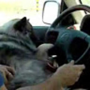 Meet your Posher, Summer